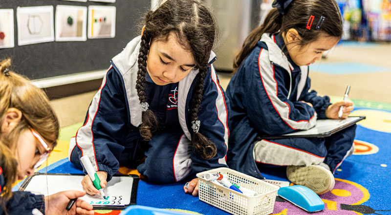 Students learning on whiteboards at Mother Teresa Catholic Primary School Westmead
