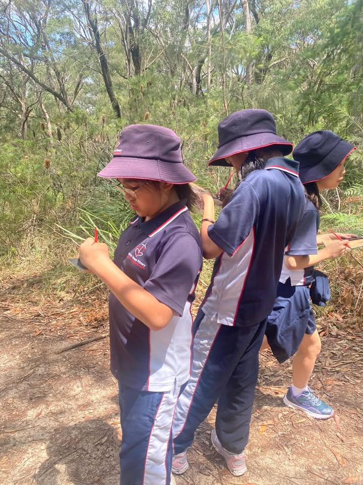 648316597298135_1445682330894887-1