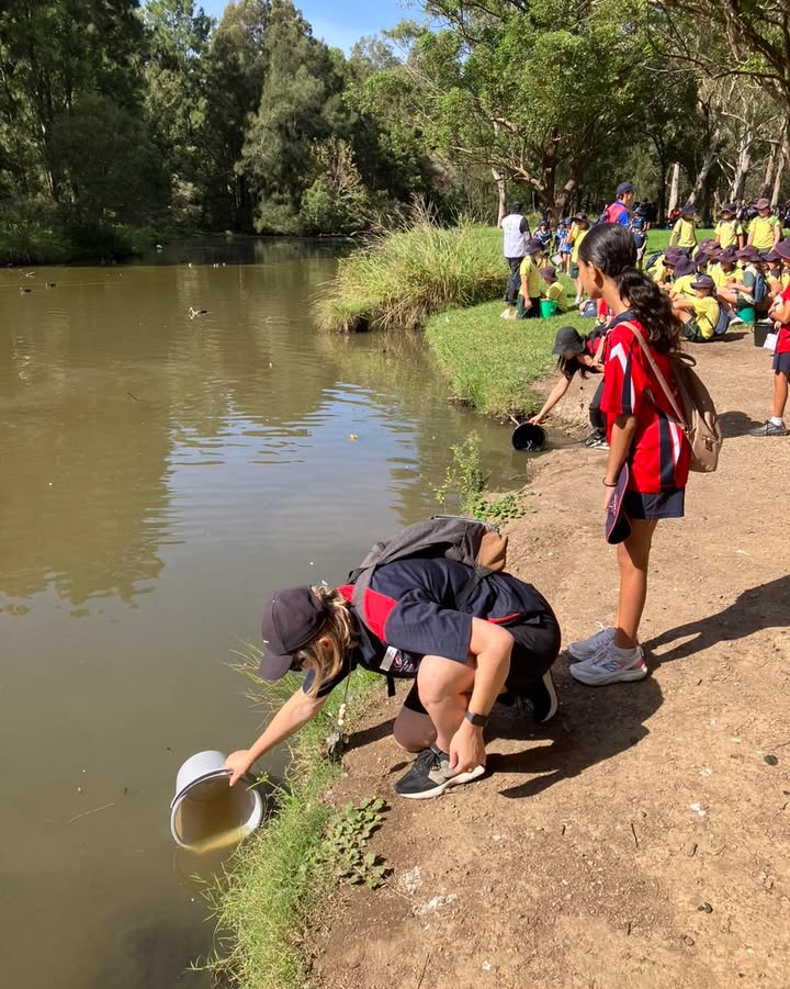 648316597298135_1567856118677507-1